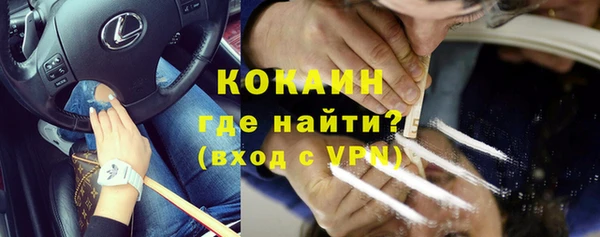 шишки Беломорск