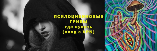 амф Белокуриха