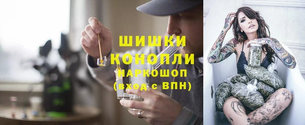 шишки Беломорск