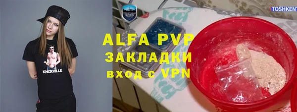 шишки Беломорск