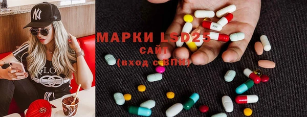 шишки Беломорск