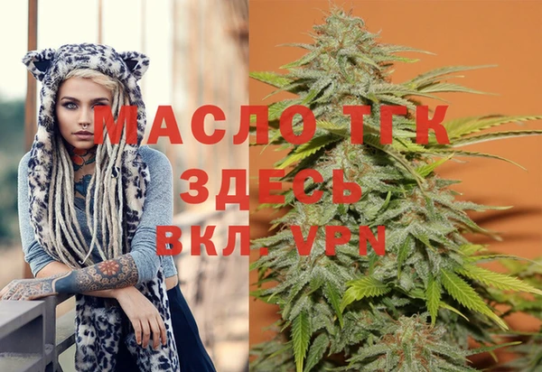 шишки Беломорск