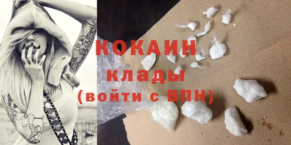 шишки Беломорск