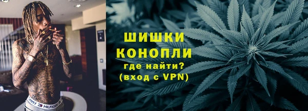 шишки Беломорск