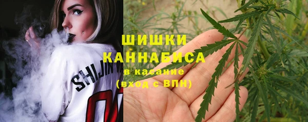 крисы Белоозёрский